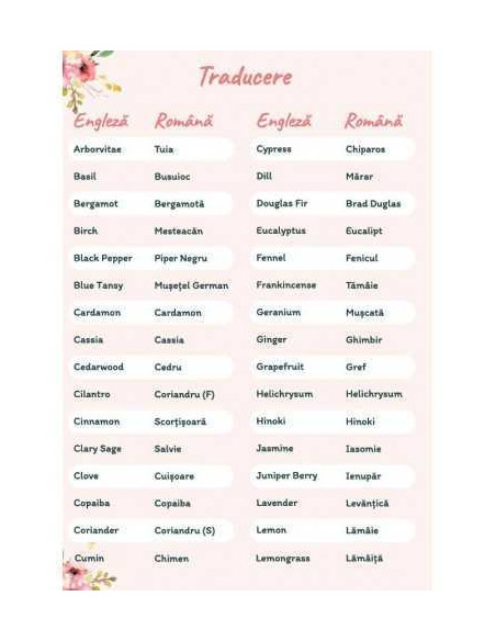 Agenda si ghid pentru uleiuri esentiale + 6 sticlute roll-on de 10ml