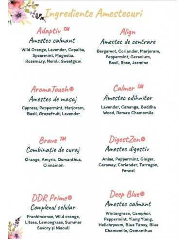 Agenda si ghid pentru uleiuri esentiale + 6 sticlute roll-on de 10ml