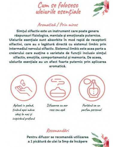 Agenda si ghid pentru uleiuri esentiale + 6 sticlute roll-on de 10ml