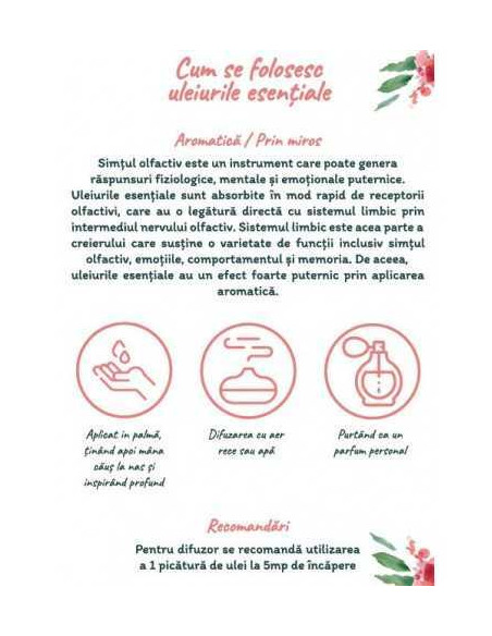 Agenda si ghid pentru uleiuri esentiale + 6 sticlute roll-on de 10ml