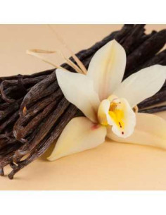 Difuzor camera cu esenta de vanilie 2