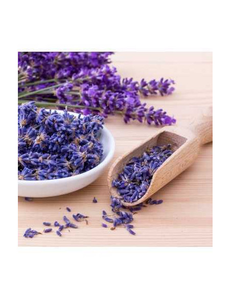 Difuzor camera cu esenta de lavanda