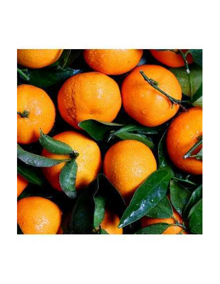 Difuzor camera cu esenta de portocala