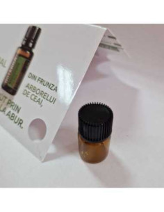 Eticheta pentru sticlute monstre, menta - set 10 buc 2