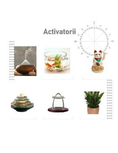 Feng Shui Analiza Office-uri