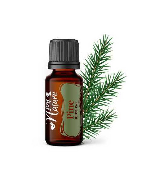Ulei esenţial Pin / Pine / Pinus Pinaster 15ml