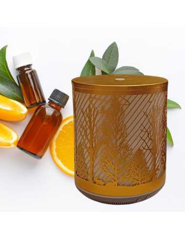 Aromadifuzor elegant, cu design aurit și motive naturale