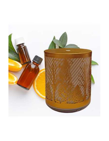 Aromadifuzor elegant, cu design aurit și motive naturale