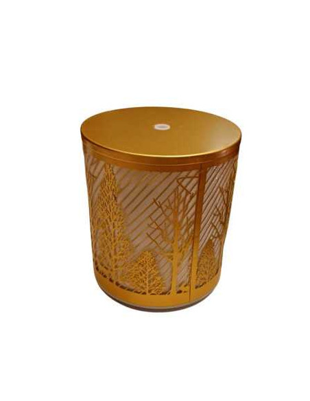 Aromadifuzor elegant, cu design aurit și motive naturale