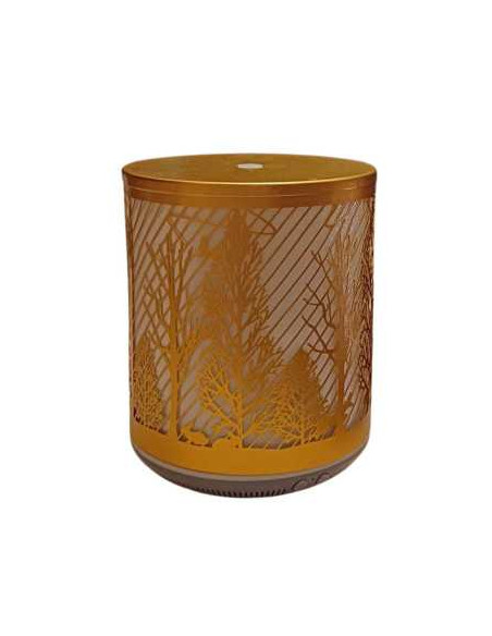 Aromadifuzor elegant, cu design aurit și motive naturale