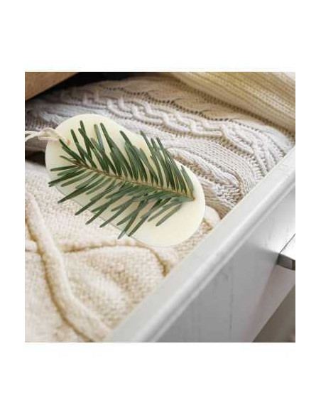 Odorizant Dulap FOREST WALK, Candelina – Brad, Pin, Cedru, 25g