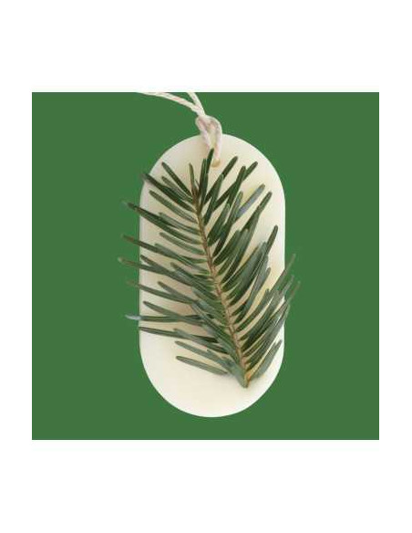 Odorizant Dulap FOREST WALK, Candelina – Brad, Pin, Cedru, 25g