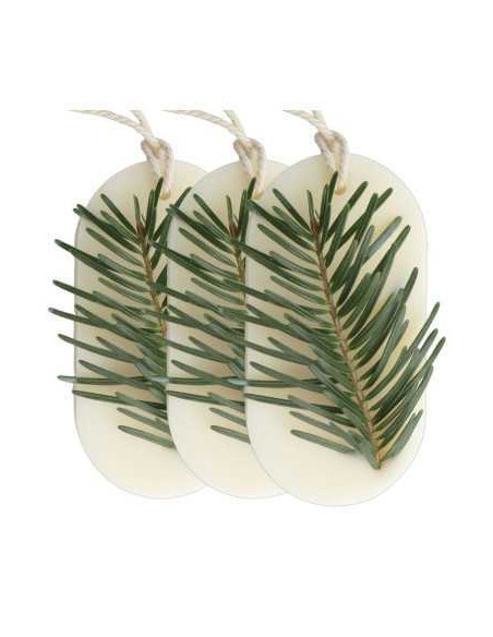 Odorizant Dulap FOREST WALK, Candelina – Brad, Pin, Cedru, 25g