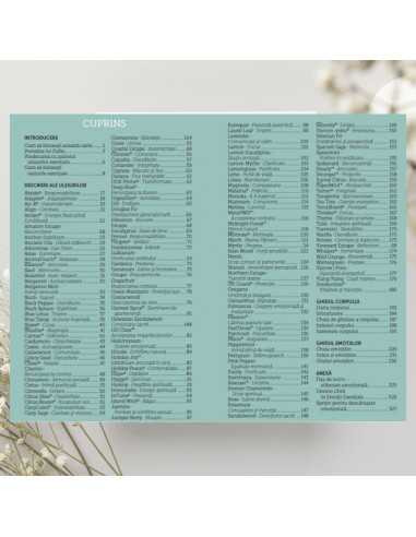 Emotii Esentiale editia 13, lb.română, ghidul tău pentru procesarea emoțiilor