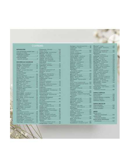 Emotii Esentiale editia 13, lb.română, ghidul tău pentru procesarea emoțiilor