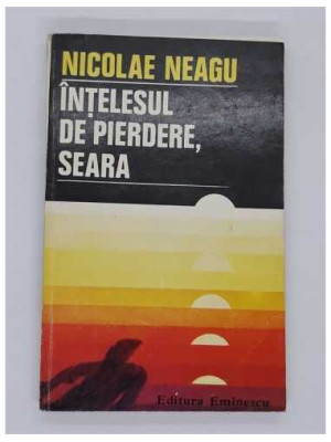 Intelesul de pierdere, seara Nicolae Neagu