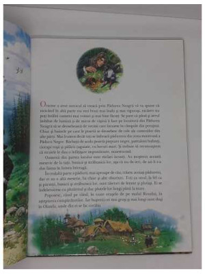 Colectia Cele mai frumoase povesti Wilhelm Hauff, Inima de piatra, nr 4 2