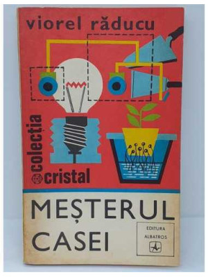 Mesterul casei Viorel Raducu