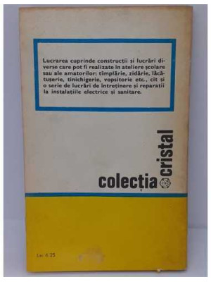 Mesterul casei Viorel Raducu 2