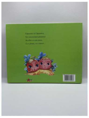 Balada capsunilor fara culoare de Zully Mustafa 2