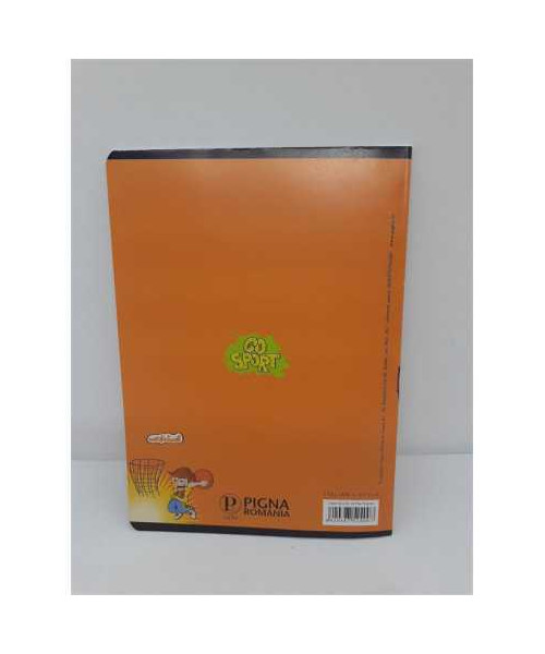 Caiet tip 2 24 file model basketball Pigna