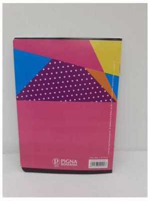 Caiet tip 2 24 file model ursulet Pigna 2
