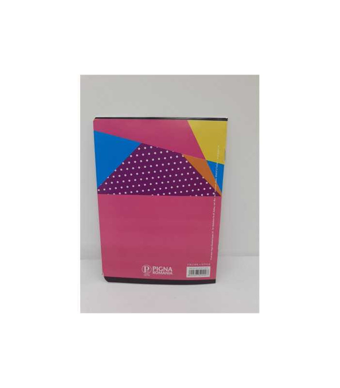 Caiet tip 2 24 file model ursulet Pigna