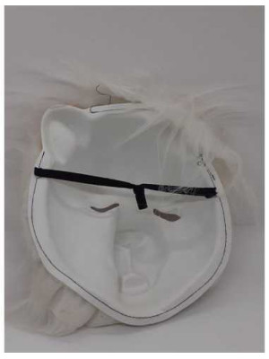 Masca pentru copii model tigru 2