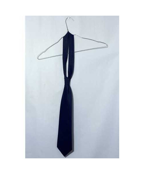 Cravata barbati albastra XiongYing