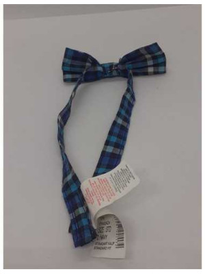 Papion in carouri pentru copii LC Waikiki 2