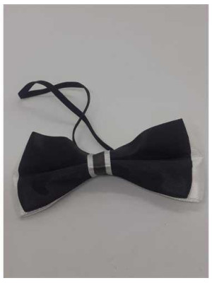 Papion lucios cu elastic pentru copii