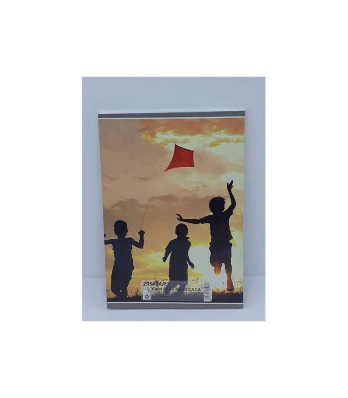 Caiet matematica A5 48 file model zmeu Ecada