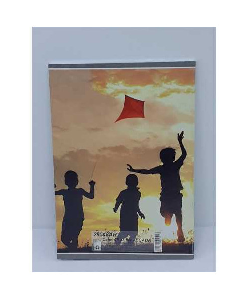 Caiet matematica A5 48 file model zmeu Ecada