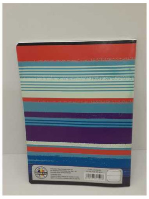 Caiet A5 48 file dictando model rinocer Pigna 2