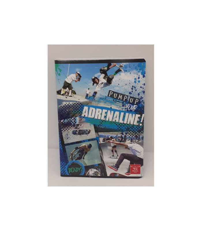 Caiet A5 48 file dictando model sport Pigna