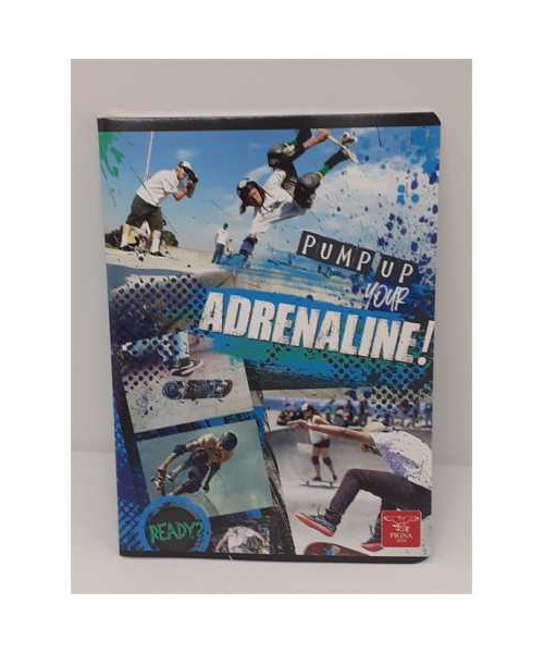 Caiet A5 48 file dictando model sport Pigna