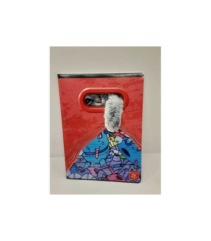 Caiet dictando A5 48 file model pisicuta haioasa Pigna