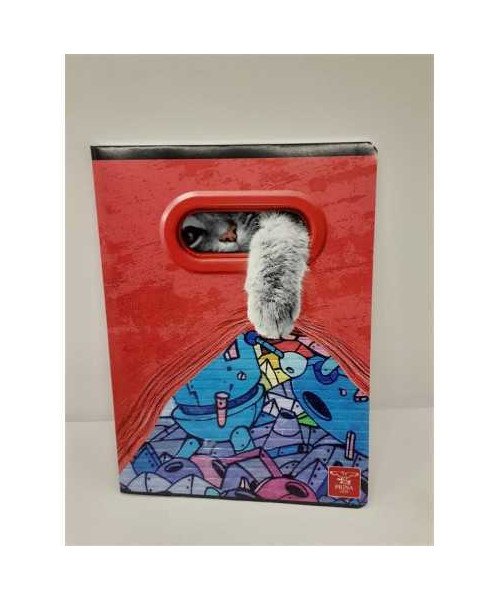 Caiet dictando A5 48 file model pisicuta haioasa Pigna