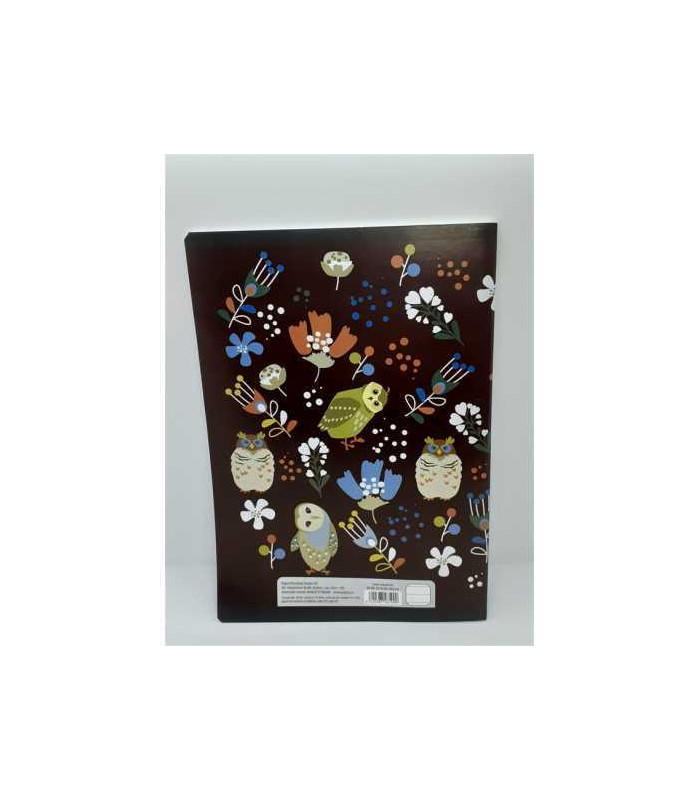 Caiet studentesc dictando A4 60 file model bufnita Pigna