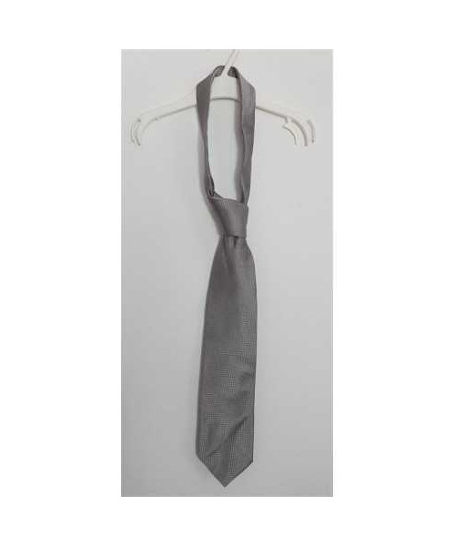 Cravata pentru barbati Artigiani Bigotti