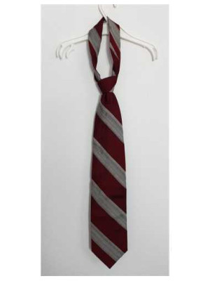 Cravata pentru barbati cu dungi Bigotti