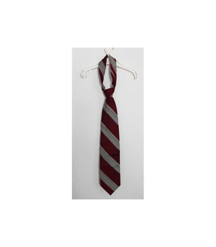 Cravata pentru barbati cu dungi Bigotti