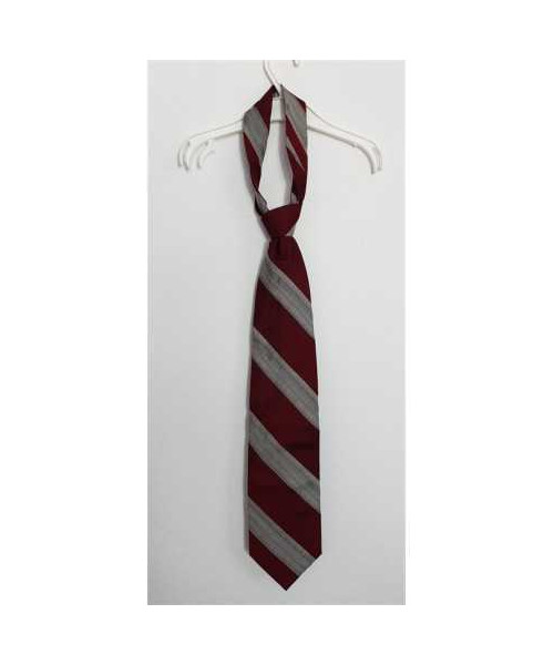 Cravata pentru barbati cu dungi Bigotti