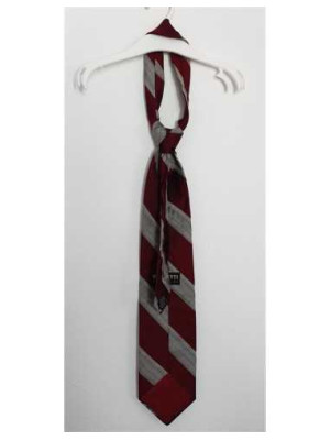 Cravata pentru barbati cu dungi Bigotti 2