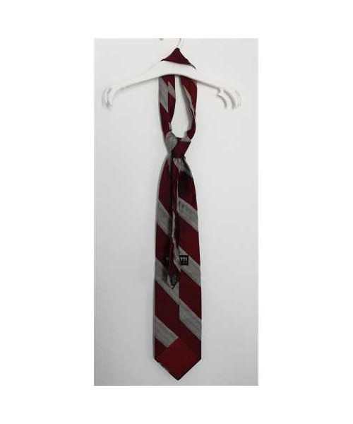 Cravata pentru barbati cu dungi Bigotti