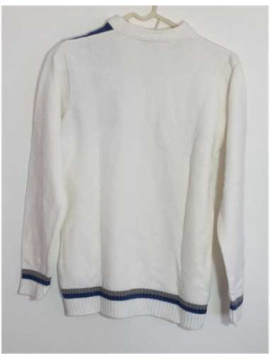 Pulover barbatesc cu dungi si decolteu in V UCAR 2