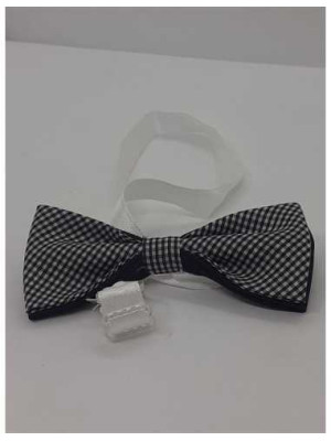 Papion in carouri pentru copii