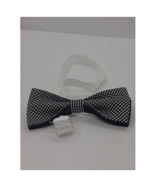 Papion in carouri pentru copii