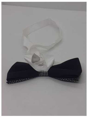 Papion in carouri pentru copii 2