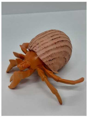 Figurina Crab in cochilie de melc
